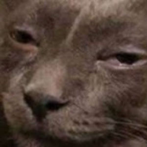 Meet your Posher, Zack